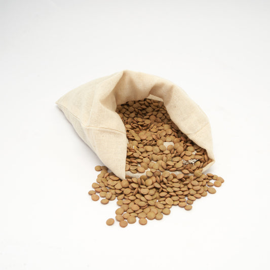 Bolsa Saco